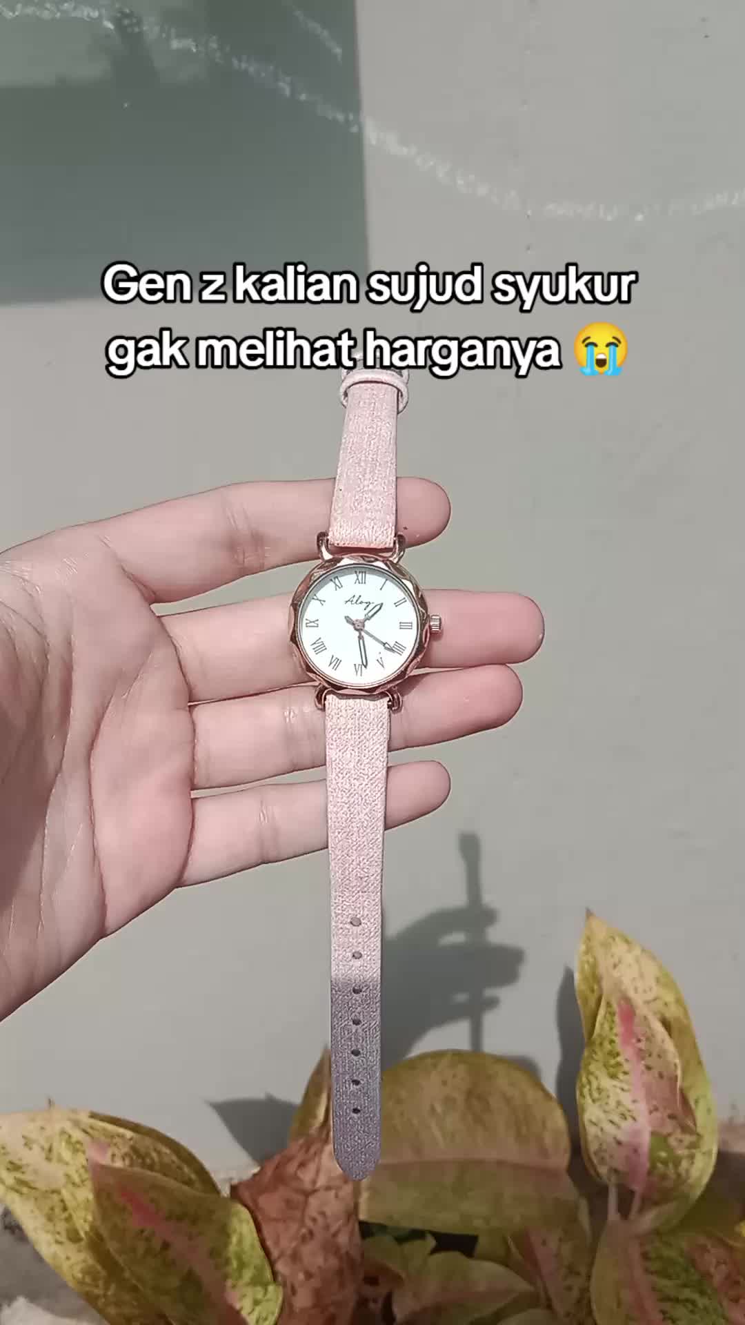 @S-tetik 🛒