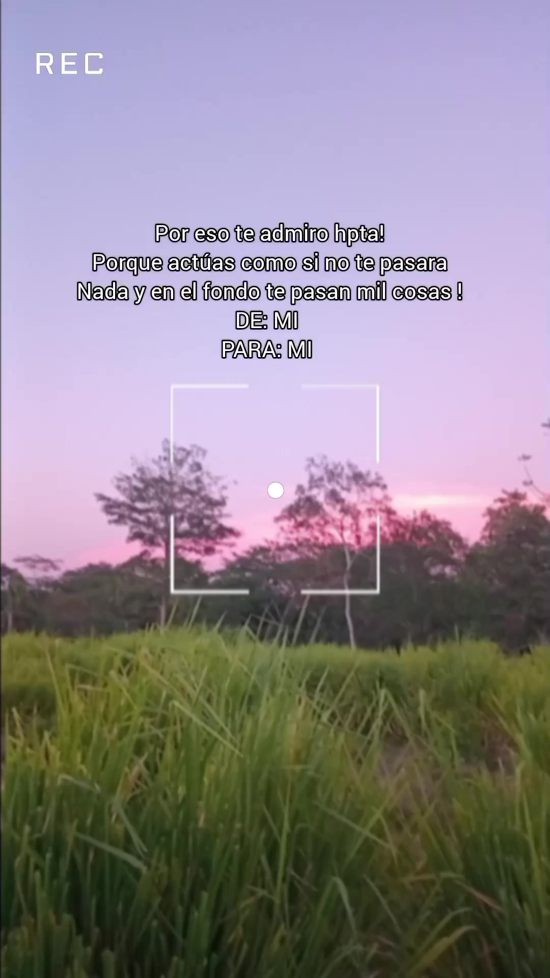 @YuLi🍒✨️❤️