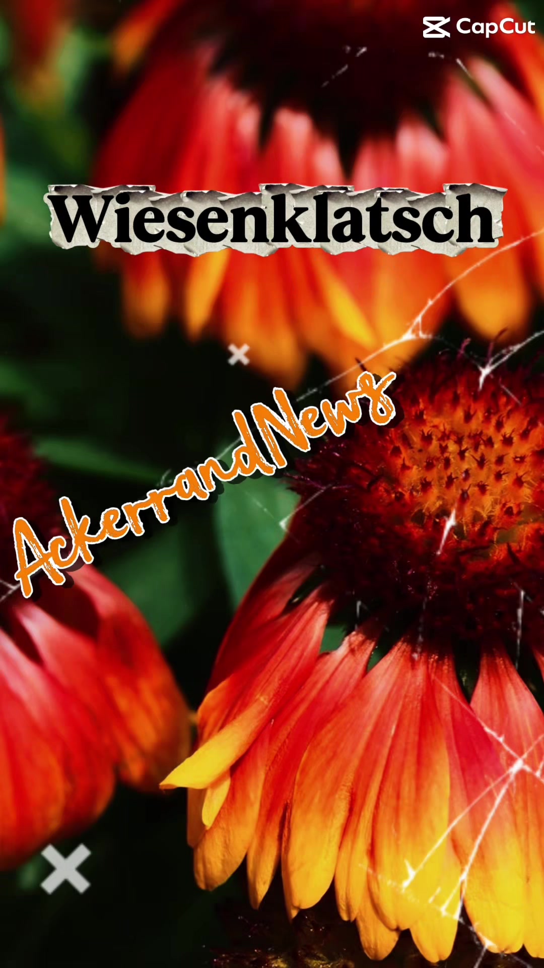 @ZwischenLinseLeine&Logbuch