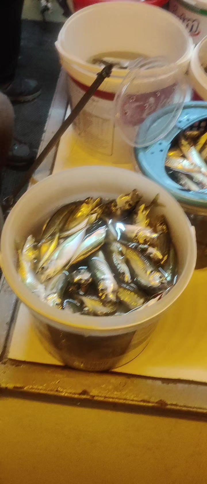 @SeRCan KaPTaNLa TeKNe KeYFi