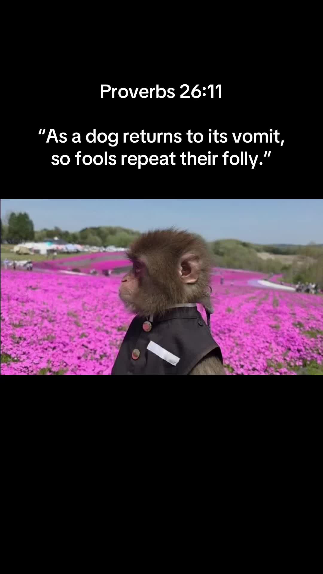 @Itsreal