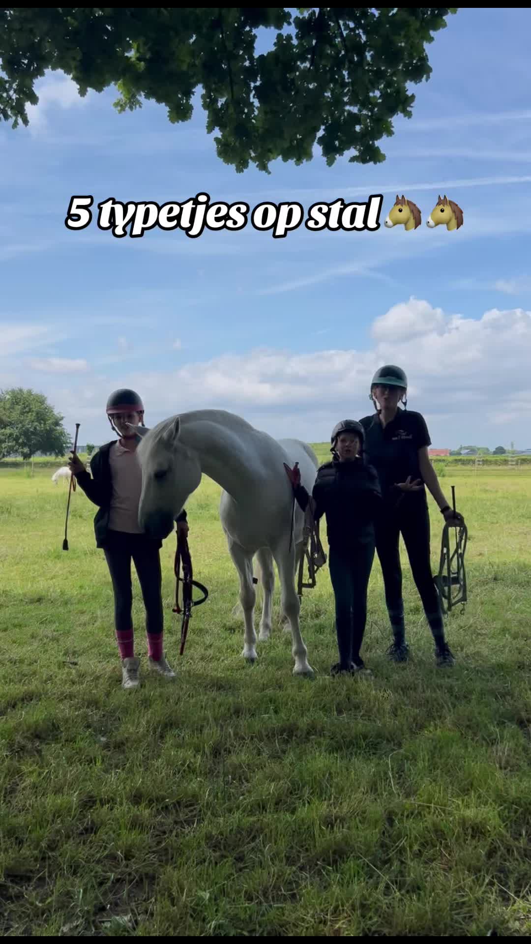 @Syrche Cordewener