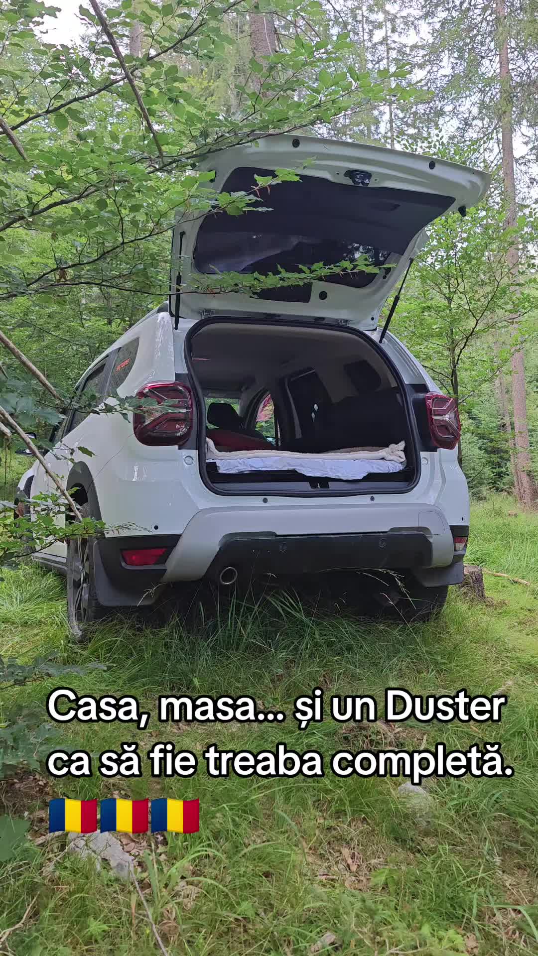 @ionuthabuc_duster_fan