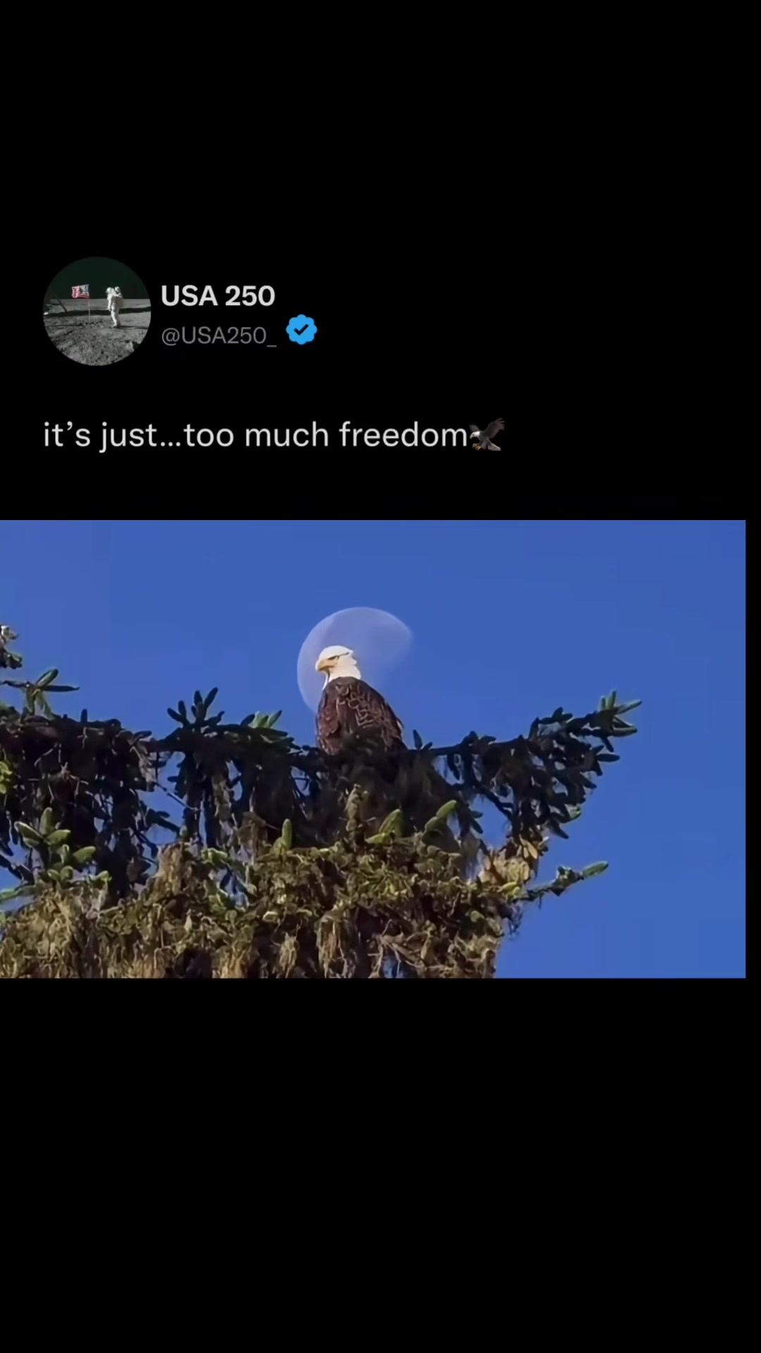 @usa250_