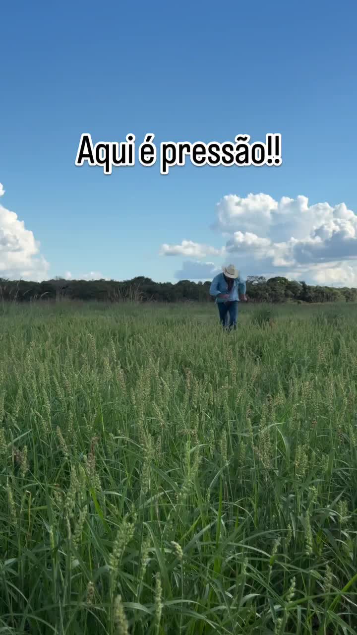 @Agrotaigo