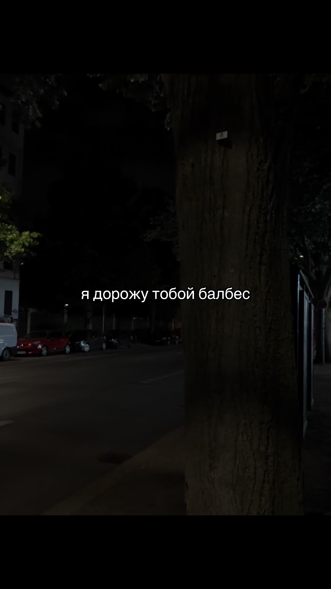 @мяу мяуууу