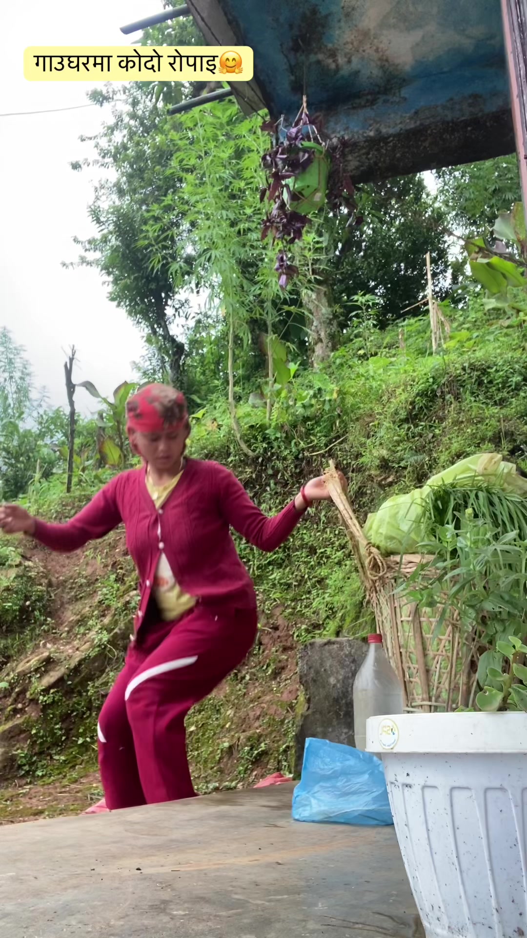 @Purnima Nepali