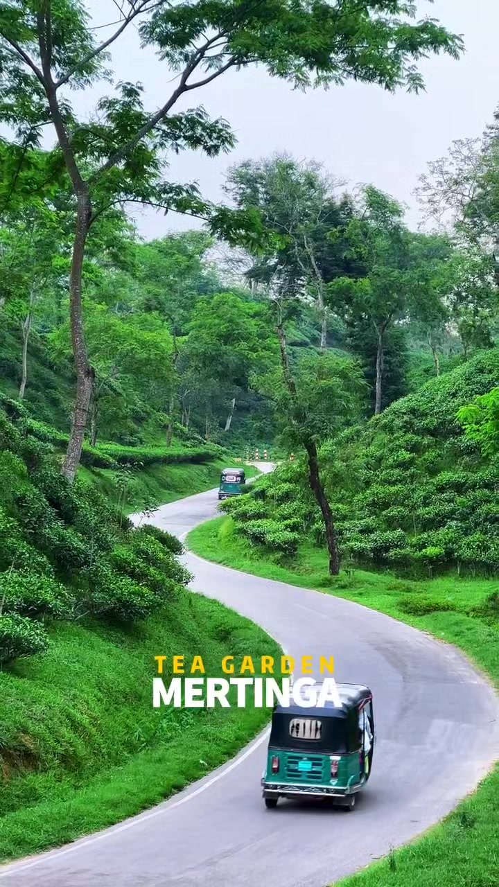 @Saiful Islam Rakin🇧🇩🇦
