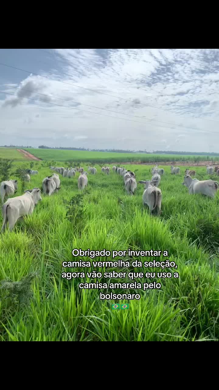 @Berdinazzi 🇧🇷