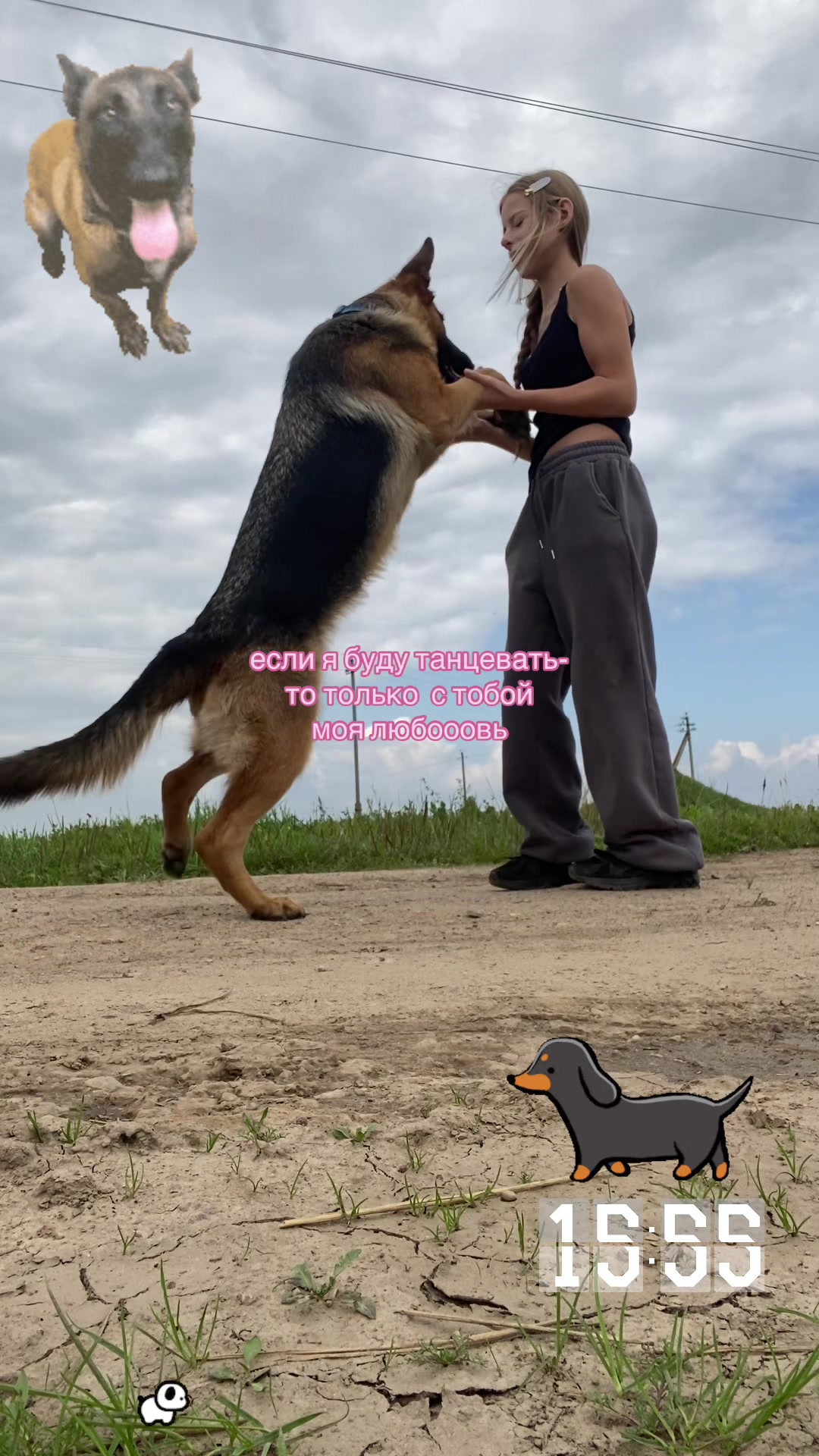 @𝓭𝓪𝓻 𝓭𝓸𝓰🥨🍂