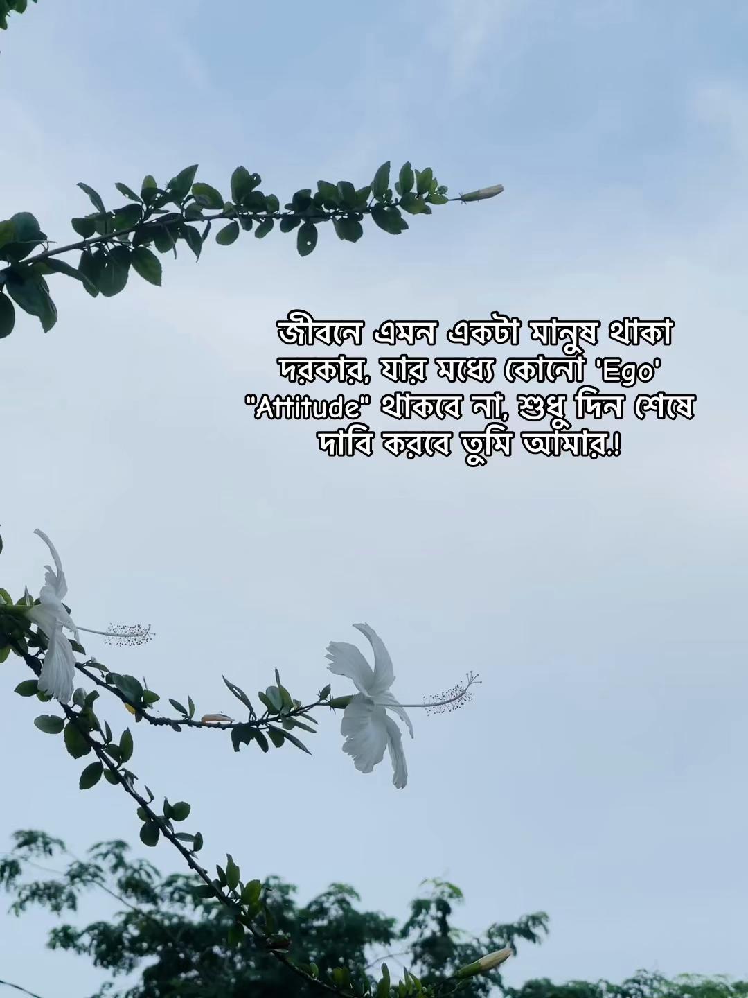 @𝐶ʰ𝑢𝑡𝑘ⁱ𝑦𝑎...