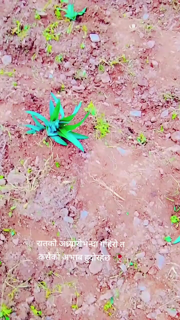 @खिम कुमार बिद्रोहि