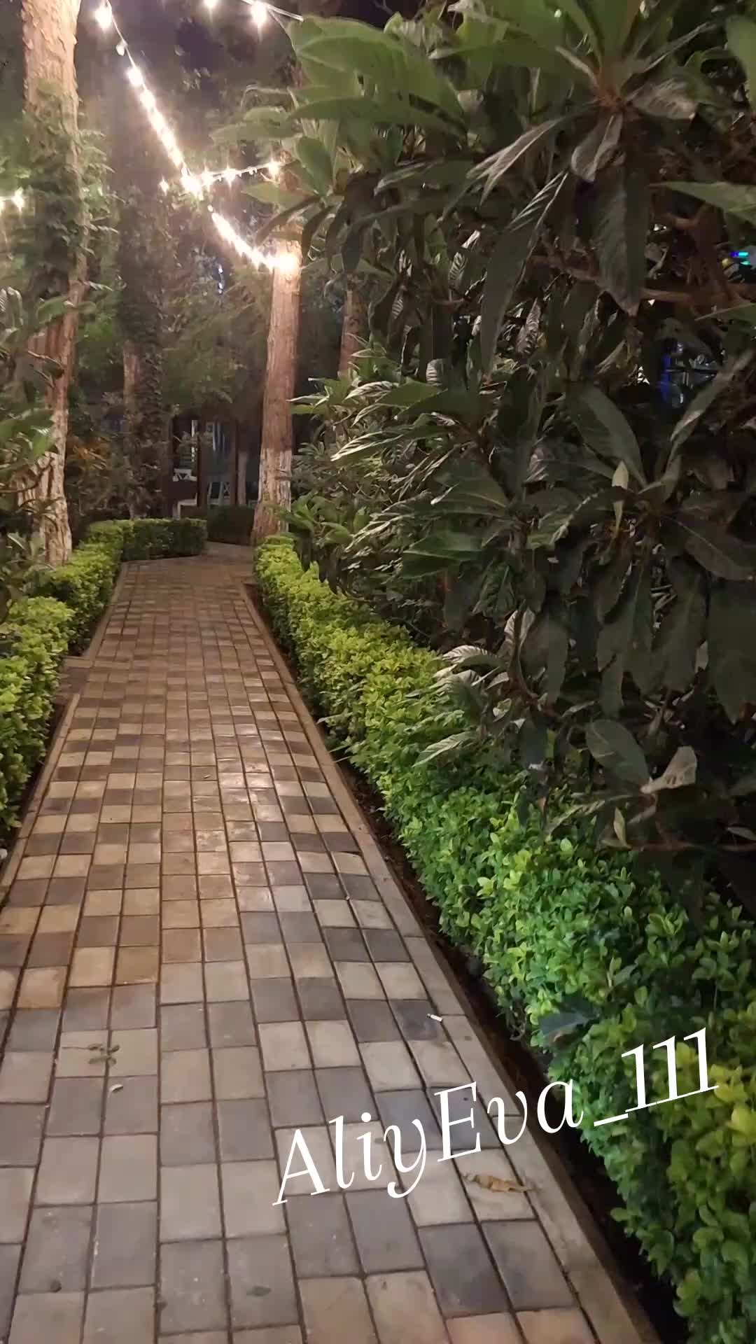 @🌹🌹🌹