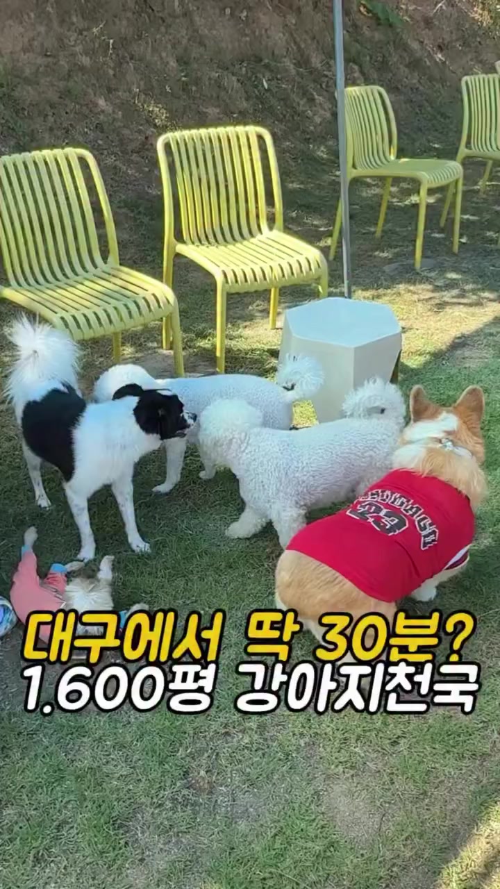 @먹어영