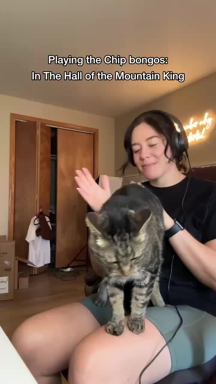 @Chip The Manx