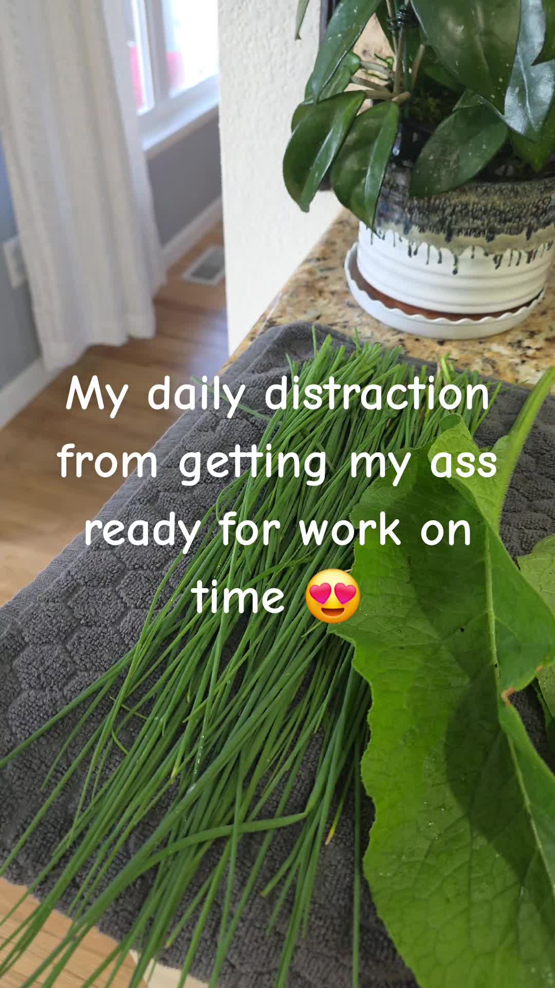 @Donna Van Patten