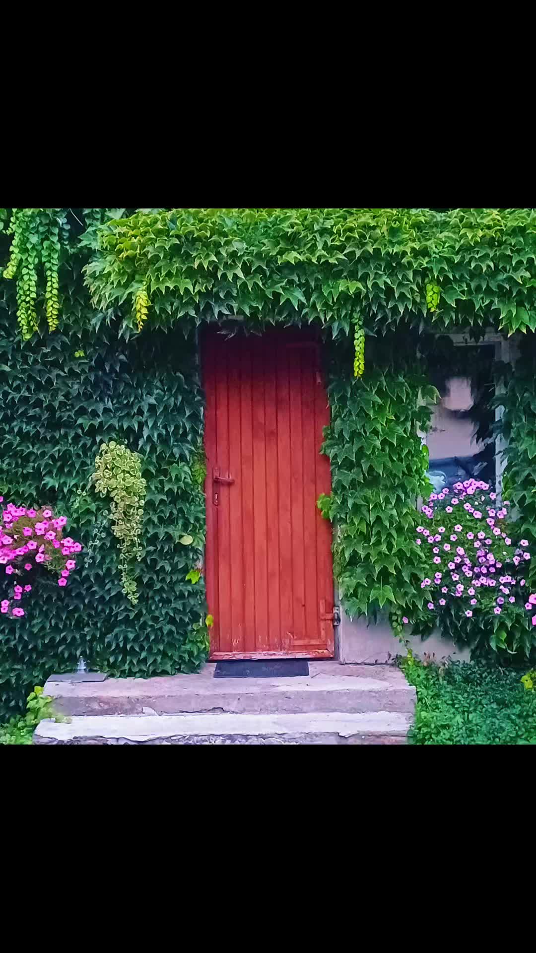 @bognaj