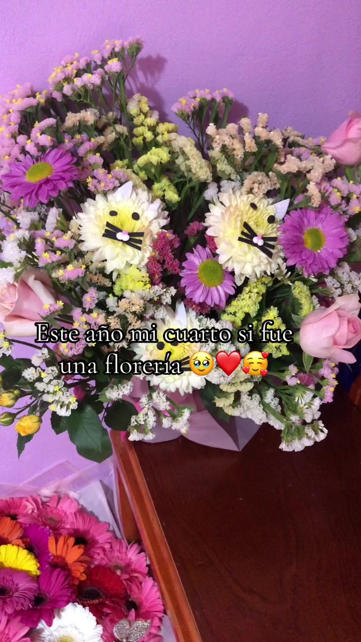 @Arii💭🎀