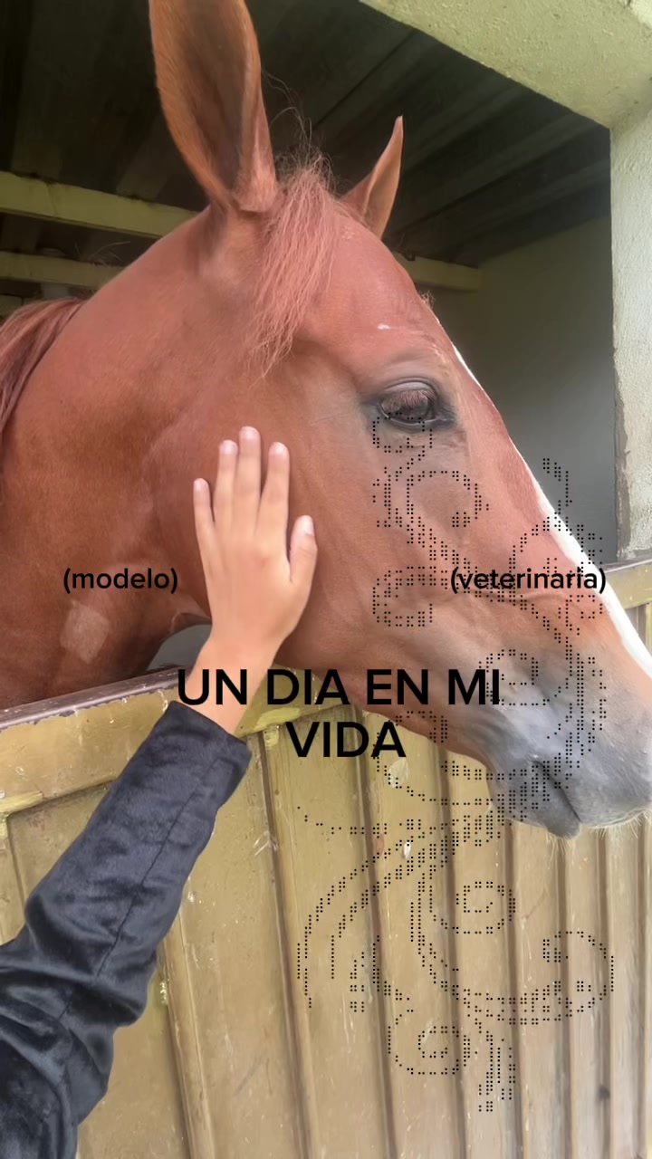 @Emily Avila