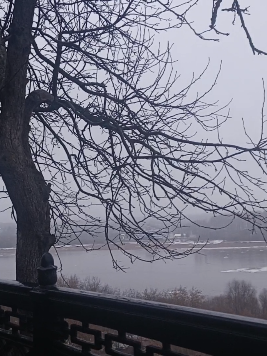 @шешель