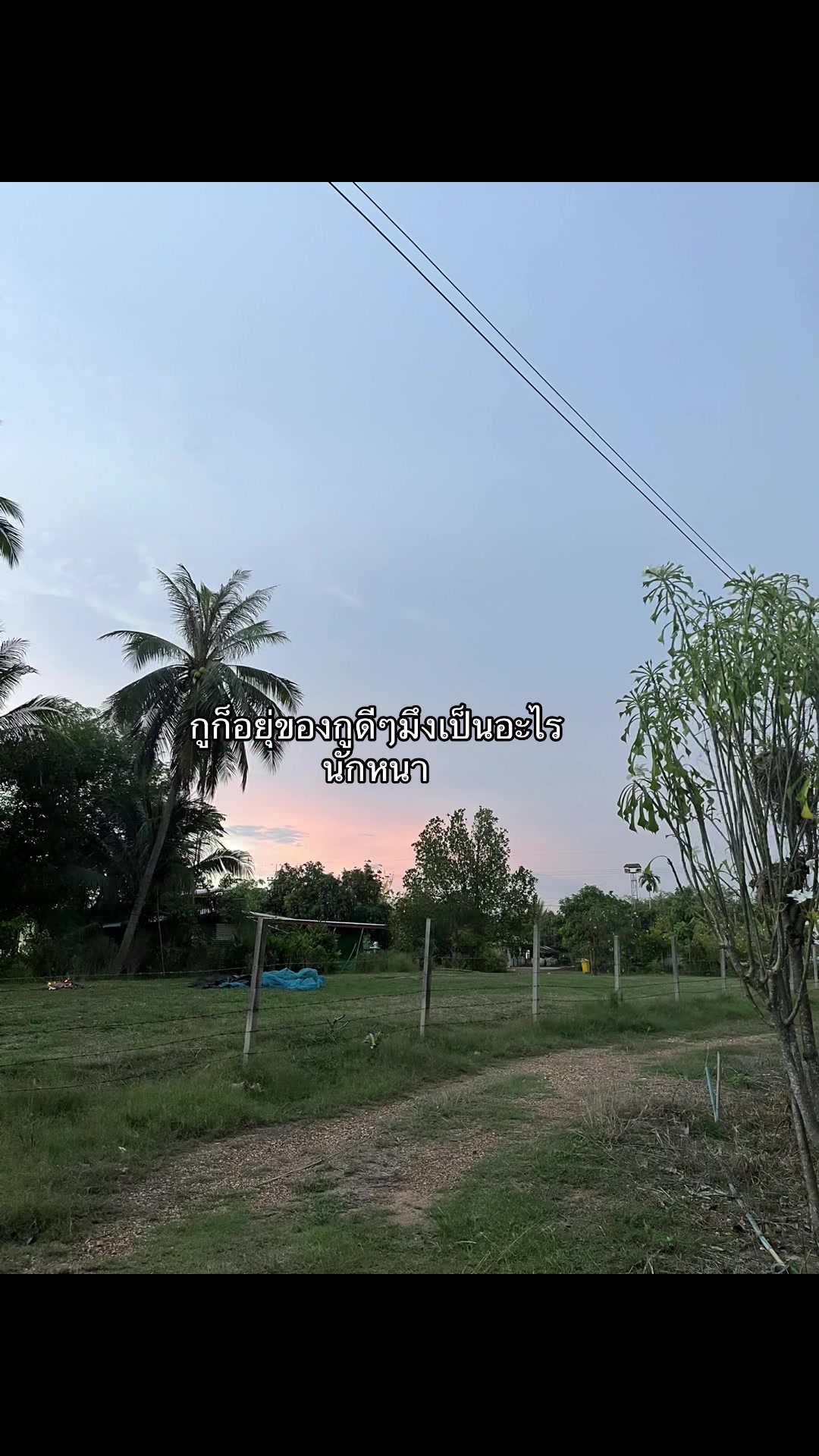 @เธรดความรู้สึก