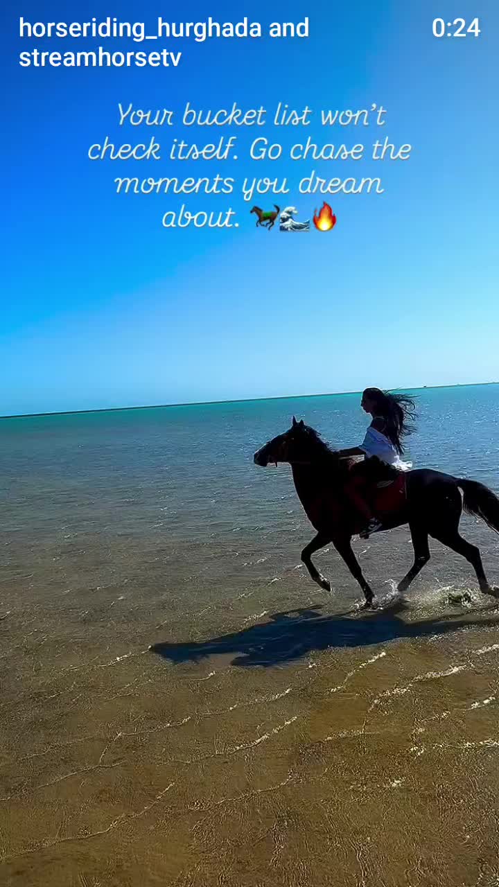 @streamhorse