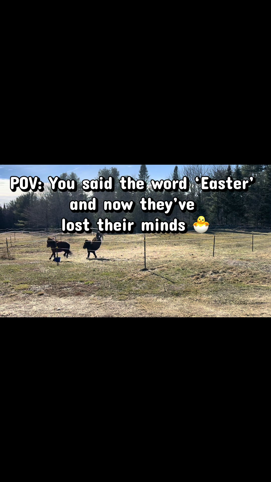 @unbridled peace