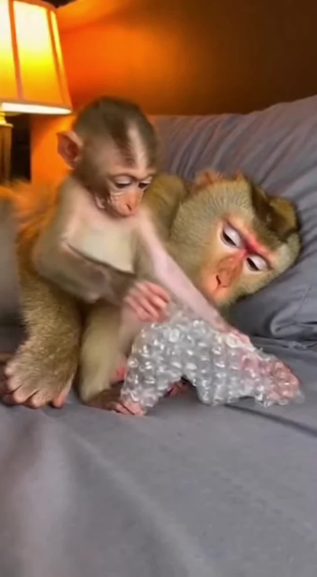 @monkeyfuntime