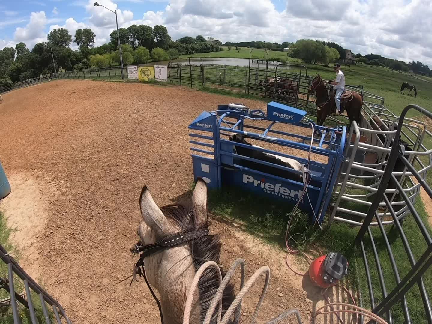 @Austin Apodaca