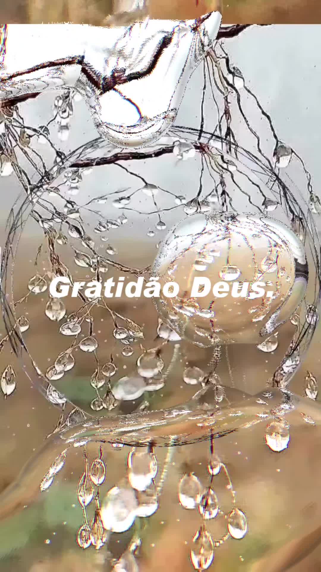 @Silvana Silva