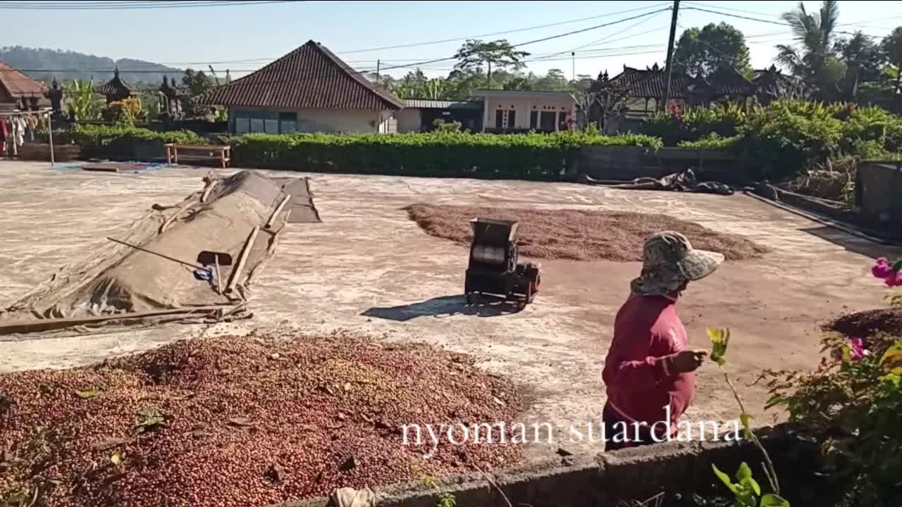 @Nyoman Suardana