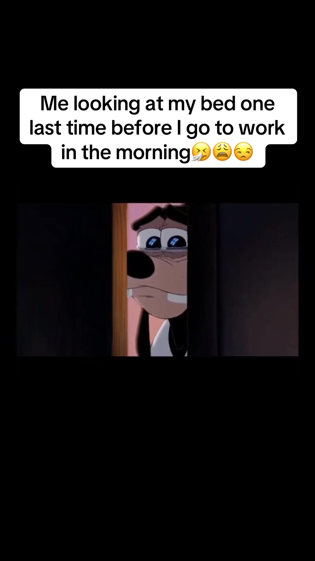 @fefe87_