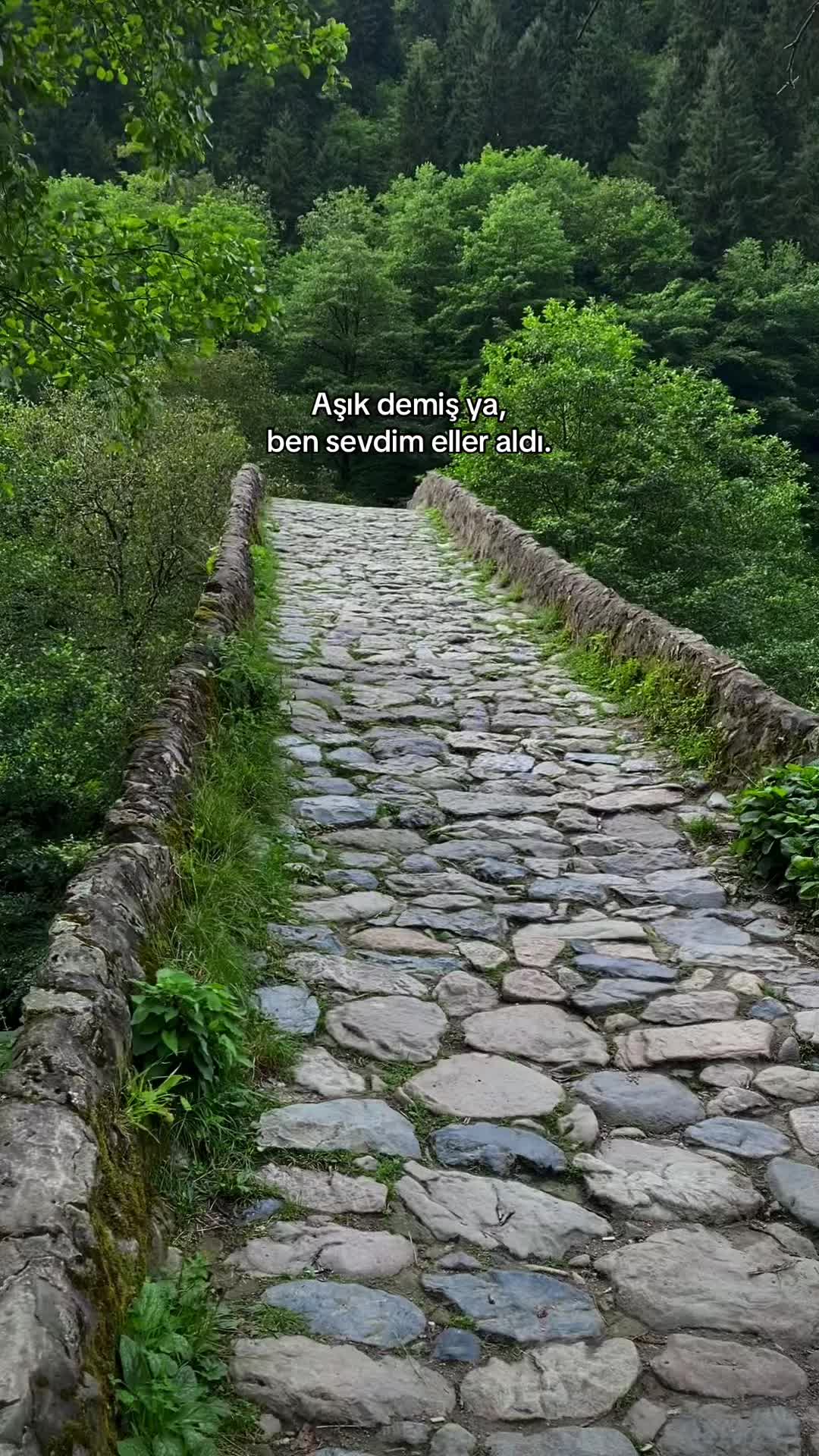 @Eslem Sözüer