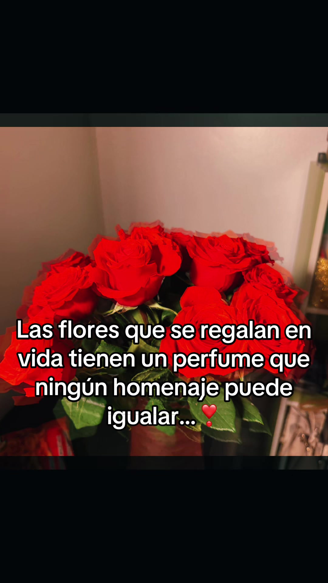 @Bella Lupita