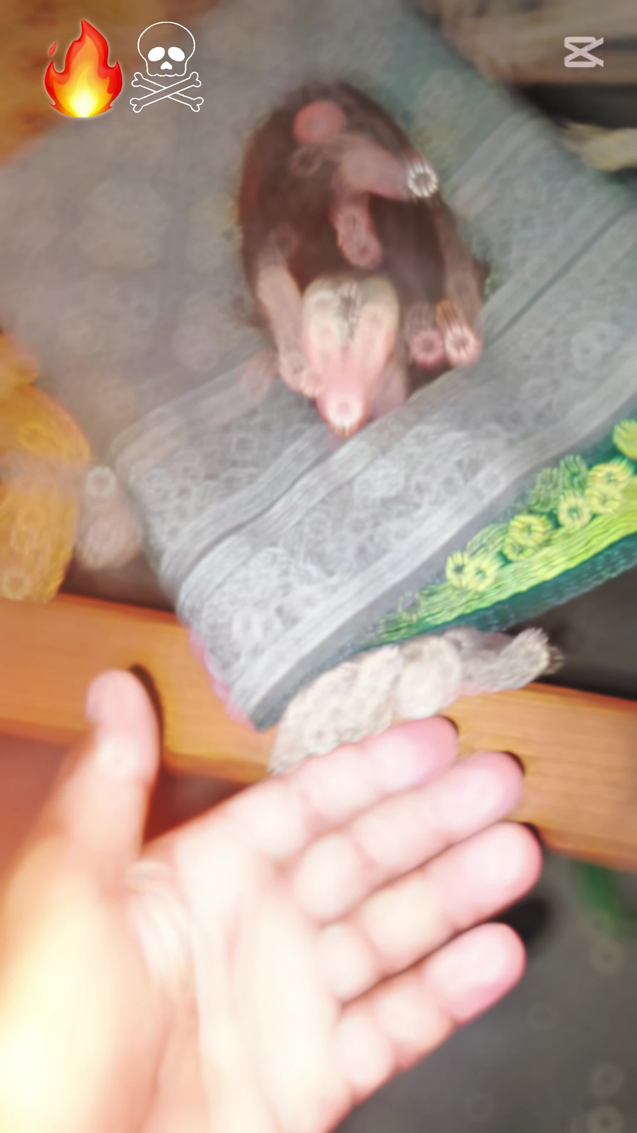 @𝘽𝙧𝙤𝙠𝙚𝙣_𝘽𝙤𝙮