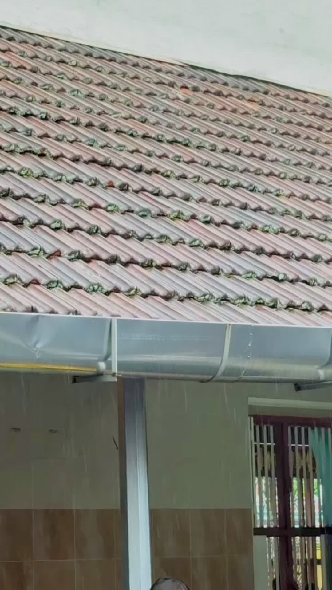 @Vishalini✨🦋✨