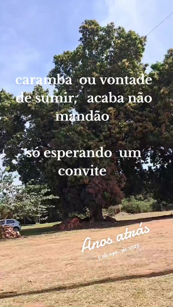 @maria Inês 😉