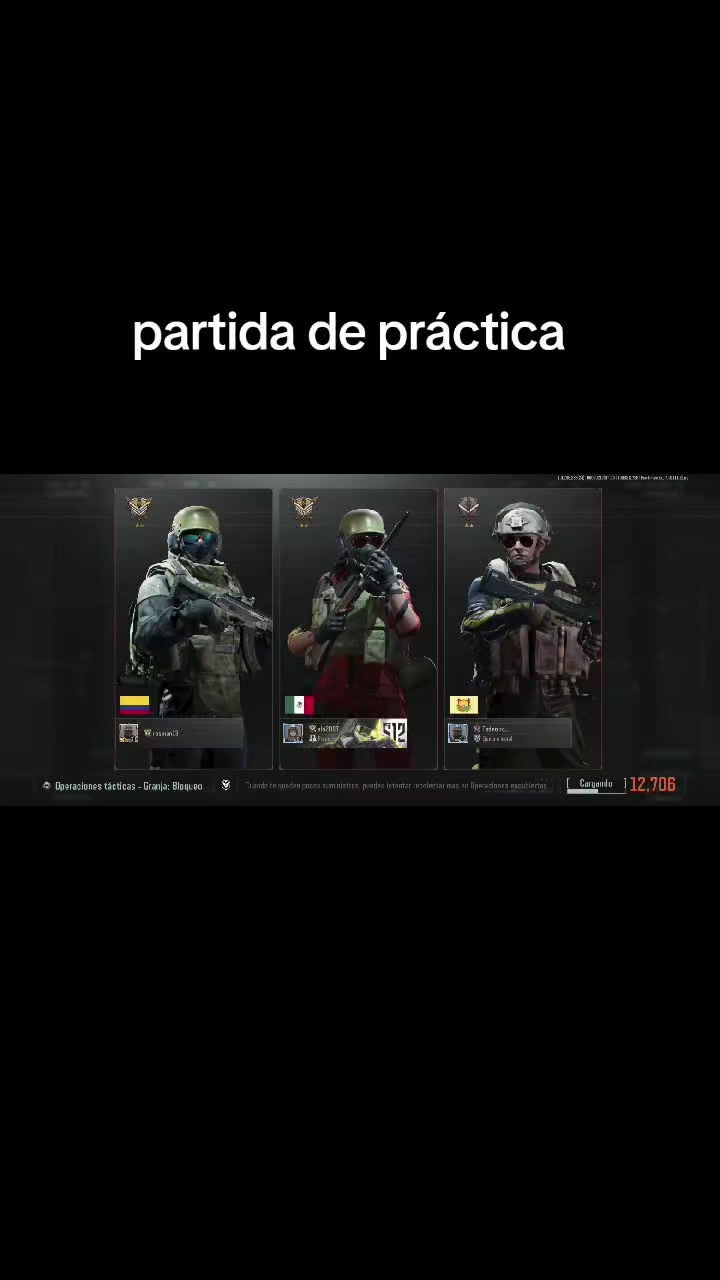 @gato de combate