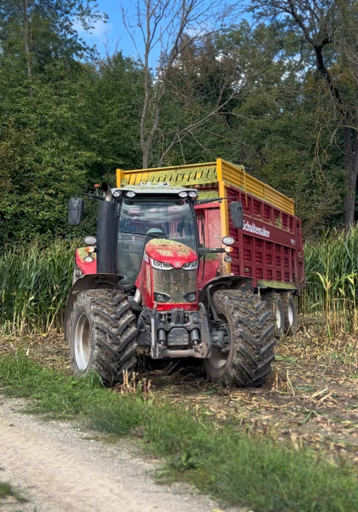 @🤠Théowol67