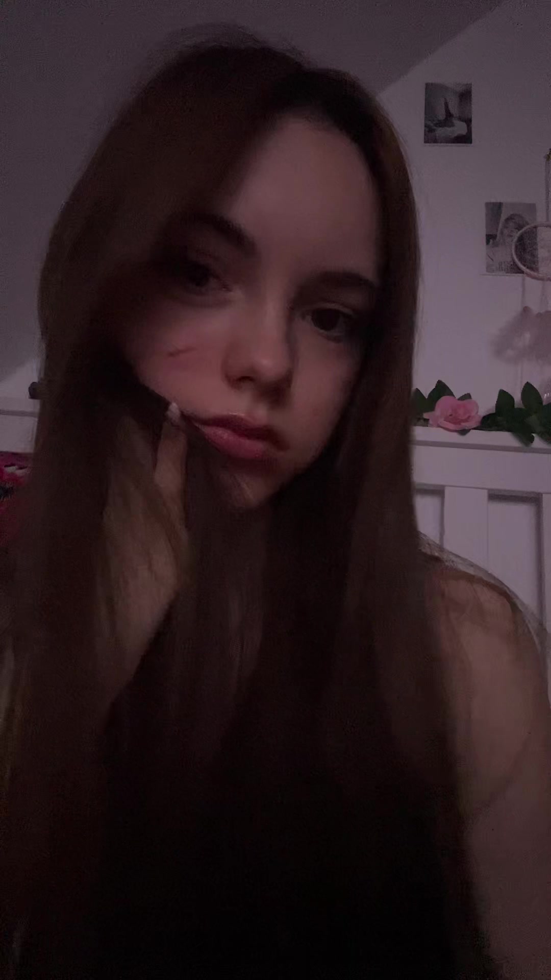 @≽^• ˕ • ྀི≼