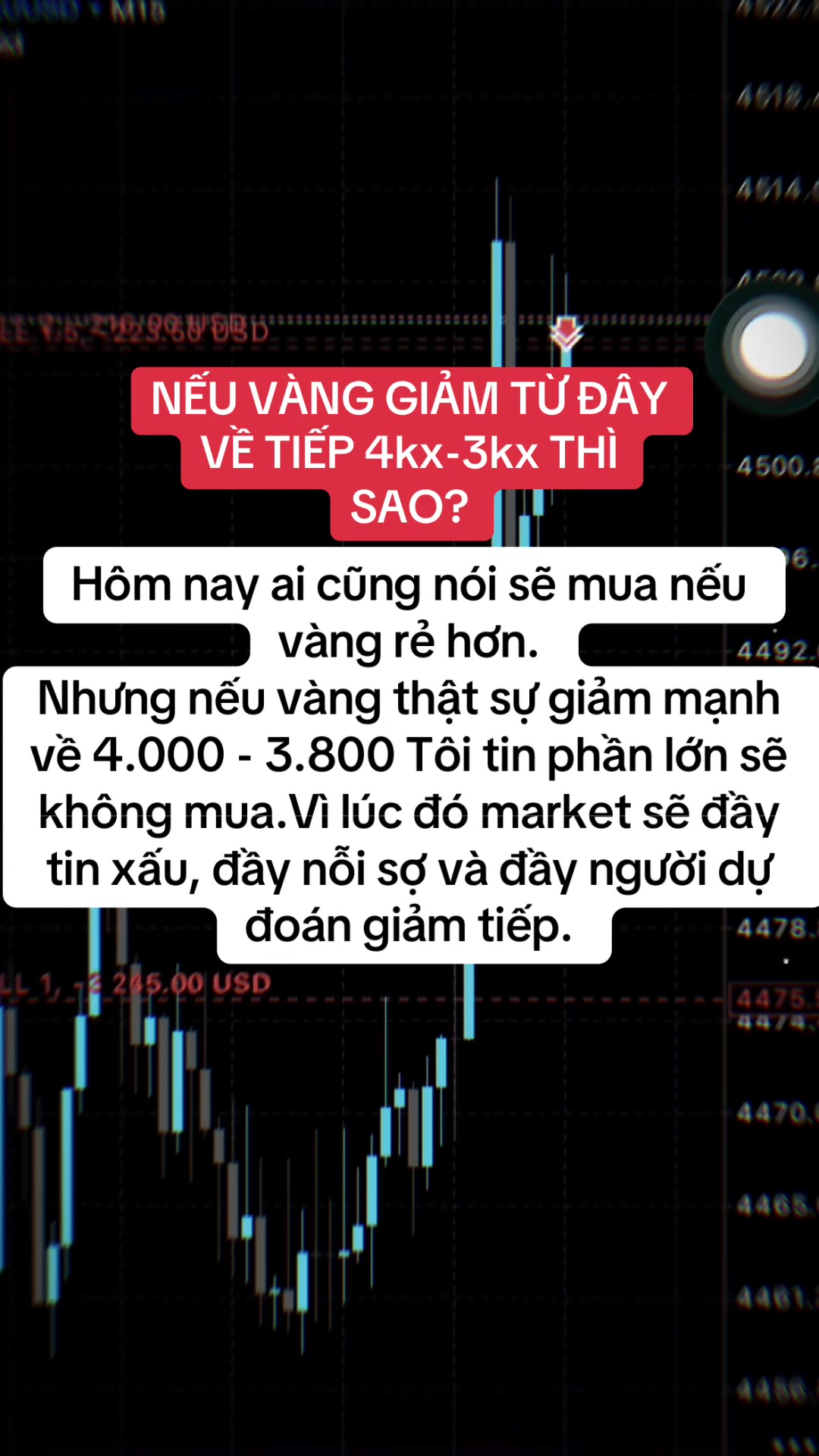 @Lão Hạc Gold.