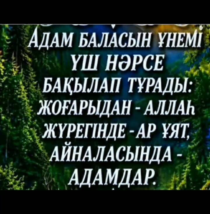@Тойгул