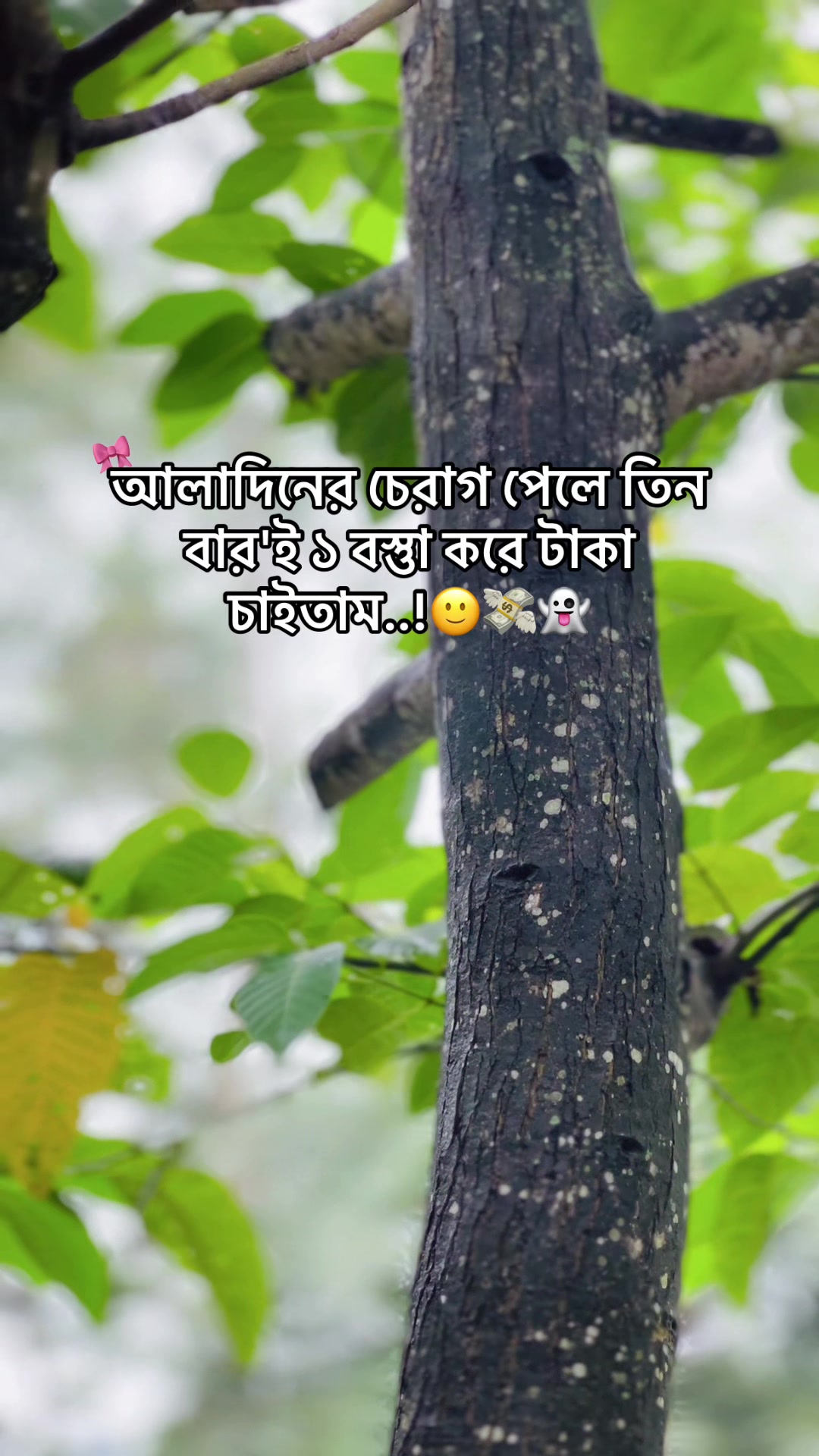 @BD_(ভন্ড)_ jihad🕊️
