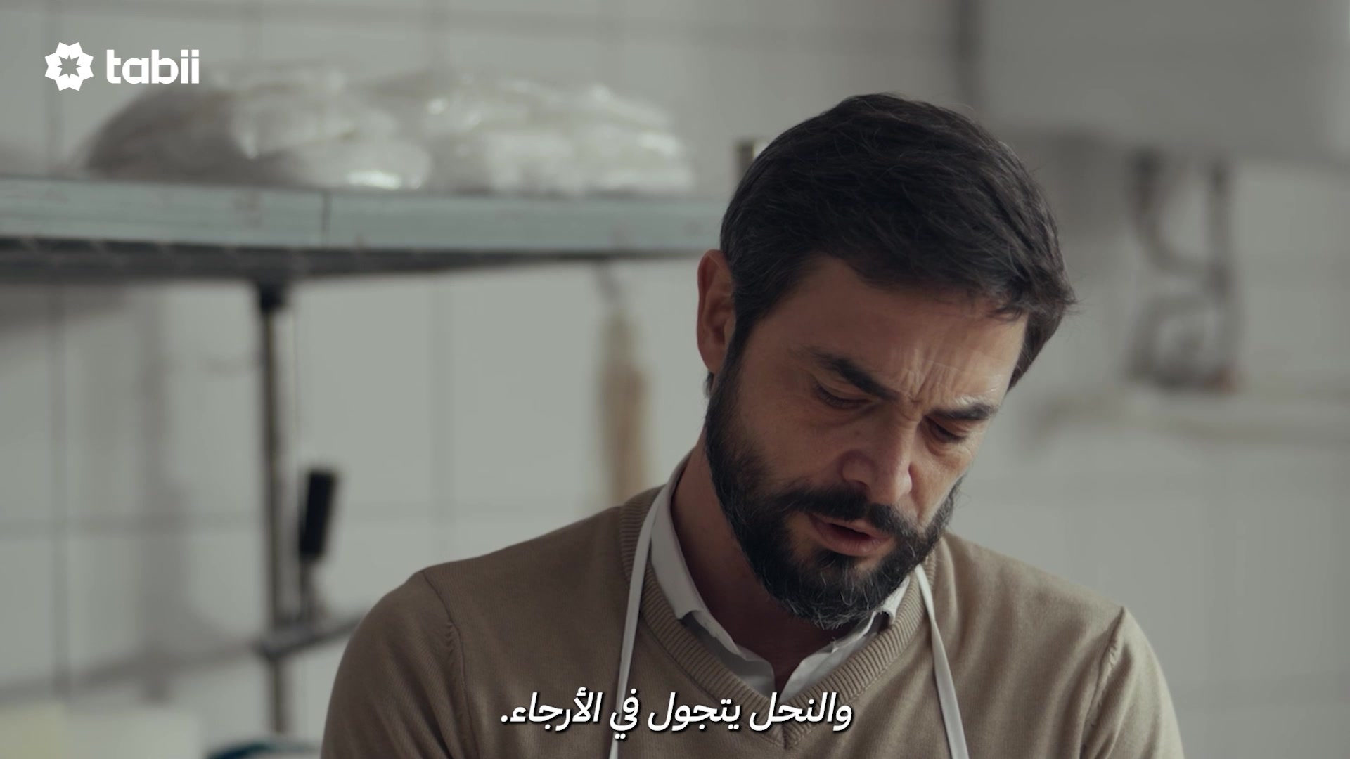 @tabii عربي