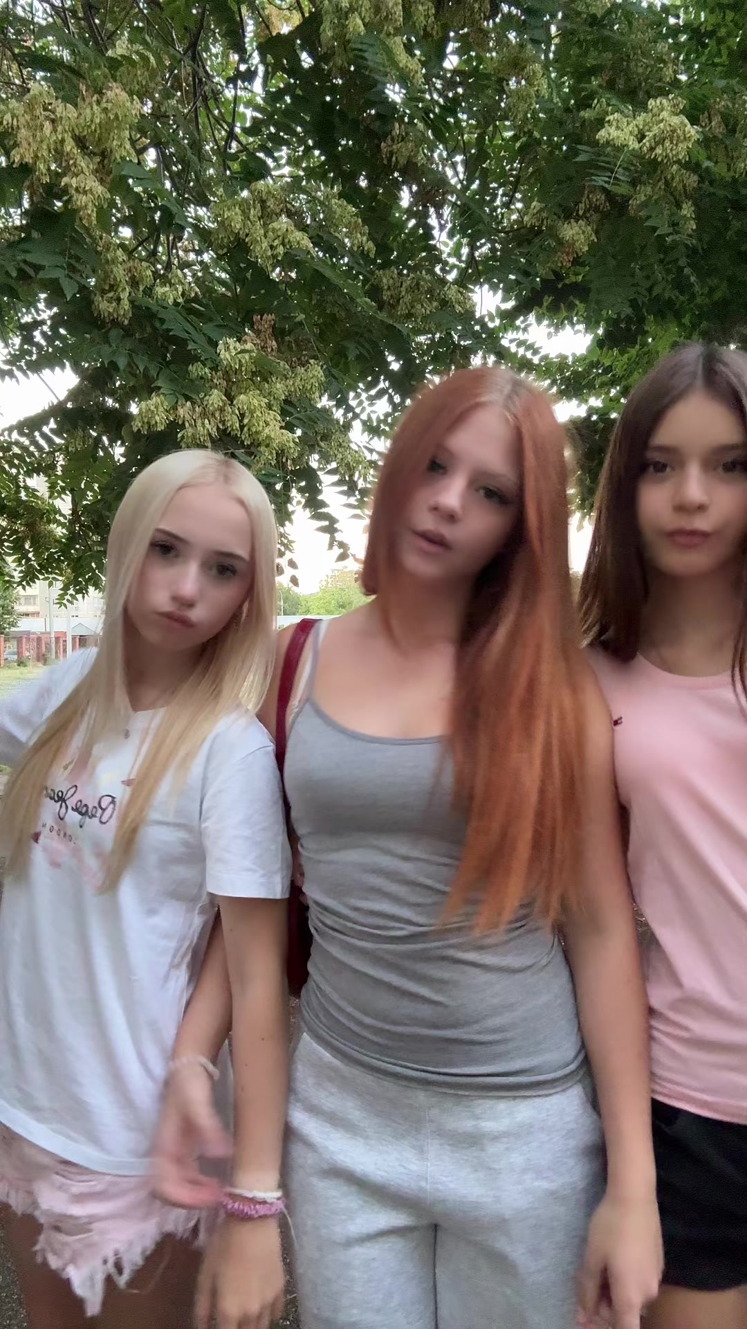 @тгк:LLL_VETA