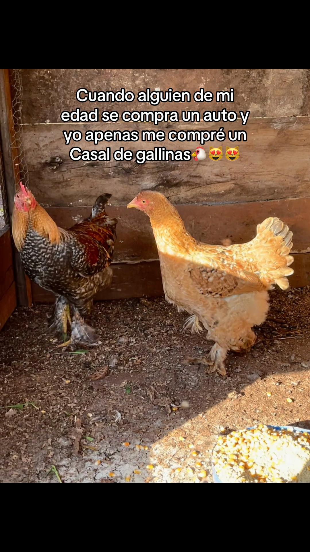@nicolas.pinno