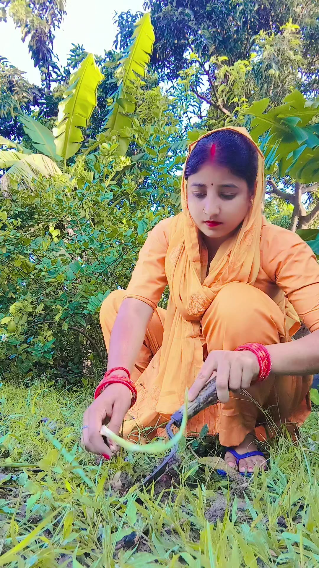 @Dr. Om Prakash Yadav