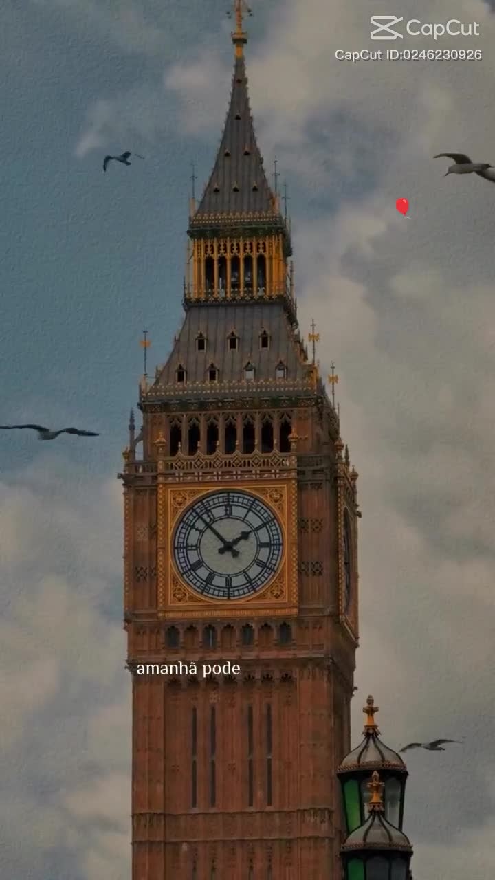 @Samara Paiva