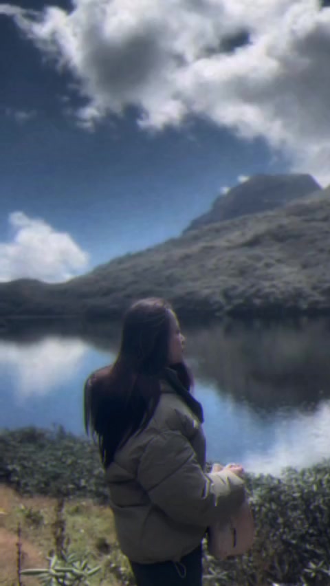 @𝓓W✧･ﾟ
