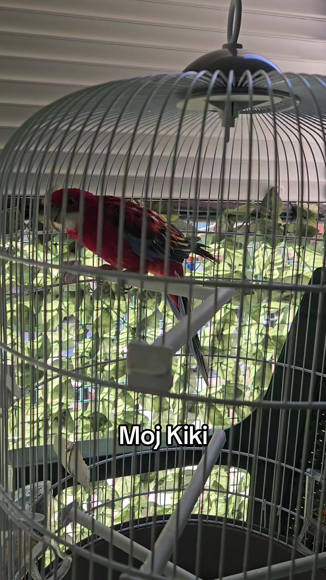 @๐ฑ๐๐๐